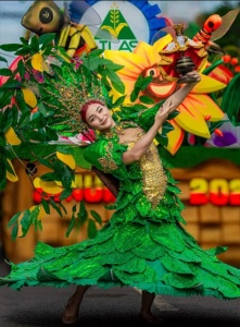 AFC in SINULOG SA TOLEDO 2026